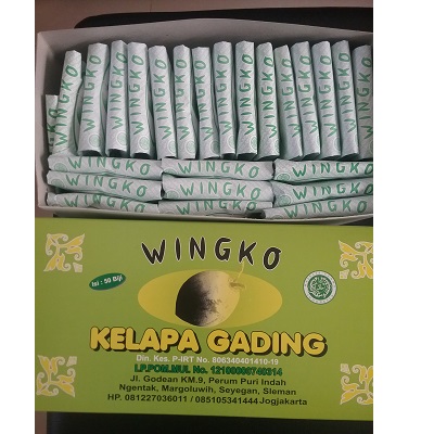 Wingko Kelapa Gading Kardus Hijau Isi 25 Gambar 1