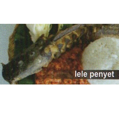 Lele Penyet Pondok Cabe Gambar 1